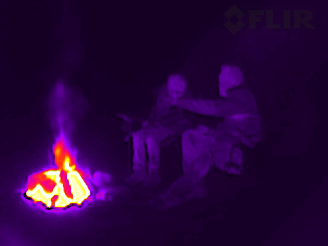 Thermal Image of a Campfire
