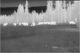 FLIR Scout PS32 Thermal Varminting Kit